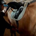 Horseback Riding Safety: Helmets, Stirrups, and More