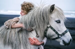 Read more about the article Basic Horse Training Techniques for New Owners