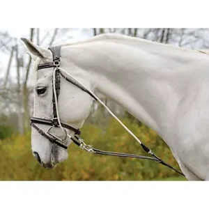 Shires Avignon De Gogue Training Aid