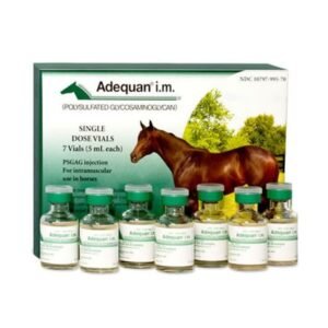 Adequan i.m. Equine